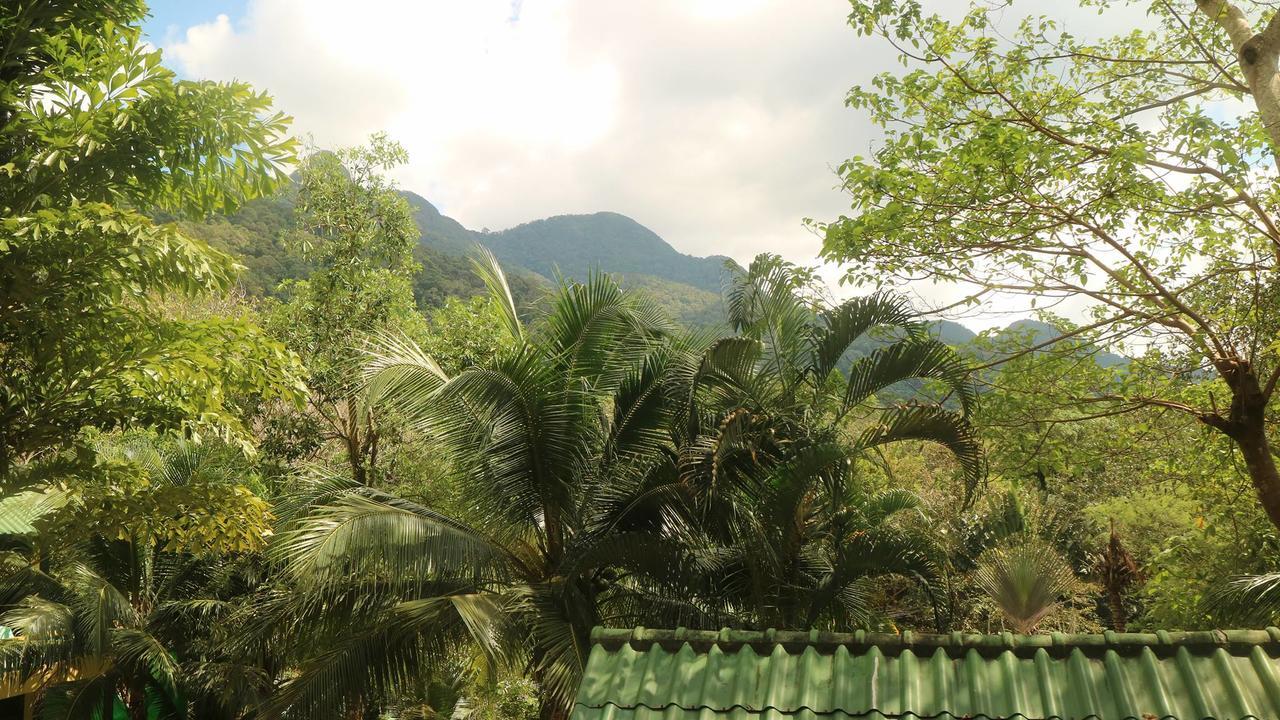 Island Lodge Koh Chang Exterior foto